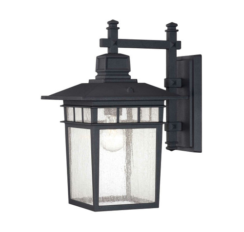 Linden 9" Wall Lantern (5-9591-BK)