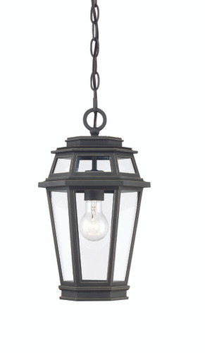 Holbrook 1 Light Epmm Outdoor Hanging Lantern (5-23003-141)