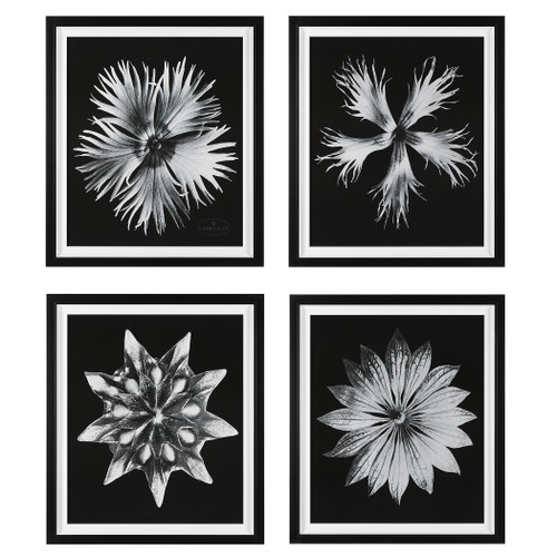 Contemporary Floret Framed Prints, S/4 (41427)