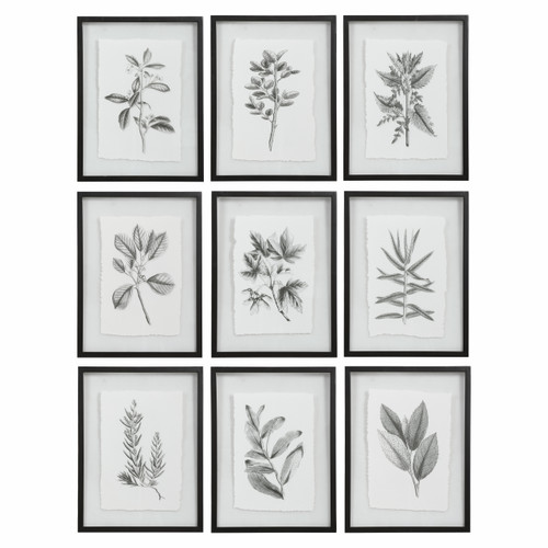 Farmhouse Florals Framed Prints, S/9 (41617)