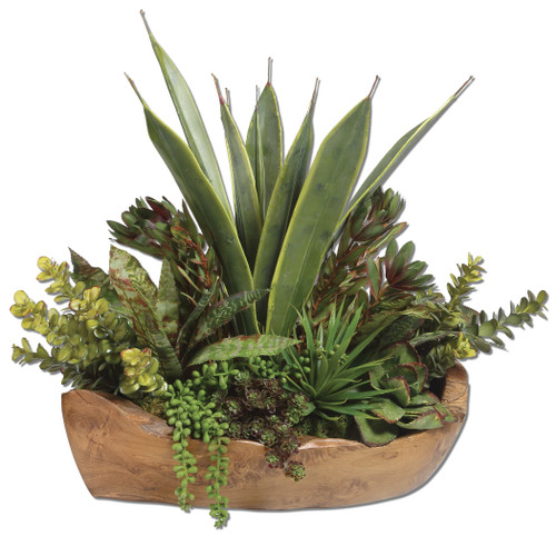 Salar Succulents In Teak Bowl (60119)