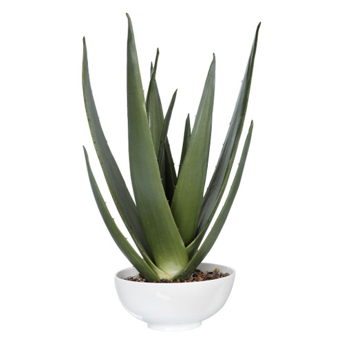 Evarado Aloe Planter (60177)