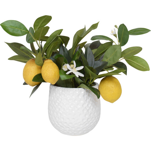 Positano Lemon In White Pot (Uttermost)