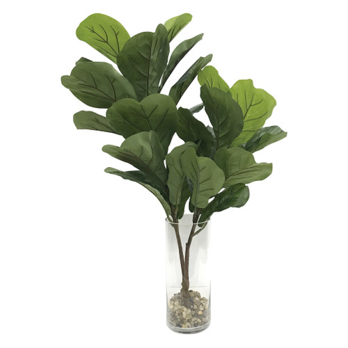 Urbana Fiddle Leaf Fig Plant (60164)