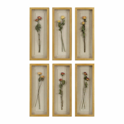 Rosalie Long Stem Shadow Box S/6 (04141)