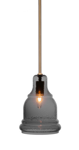 Palisade 1 Light Pendant In New Age Brass (81-NAB-4562)