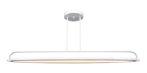 Eliptic Led Light In White (4148-WH)