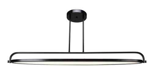 Eliptic Led Light In Matte Black Finish With 33 Watt. Intergrated Led, 90 Cri, 3000 Kelvins, 1060 Lumens. (4148-MB)