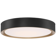 Malaga Matte Black LED Flush Mount (49971LEDD-MBL/ACR)