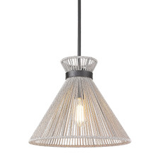 Avon 1 Light Pendant, Matte Black, Bleached Raphia Rope Shade(s) (6938-M BLK-BR)