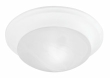 Omega 1 Light White Ceiling Mount (7302-03)