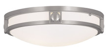 Titania 2 Light Brushed Nickel Ceiling Mount (4487-91)
