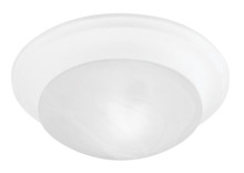Omega 3 Light White Ceiling Mount (7304-03)