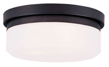 Stratus 2 Light Bronze Ceiling Mount Or Wall Mount (7391-07)