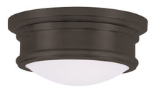Astor 2 Light Bronze Ceiling Mount (7341-07)