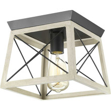 Briarwood Collection One-Light 9-1/2" Flush Mount (P350022-143)