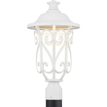 Leawood Collection LED One-Light Post Lantern (P540037-030-30)