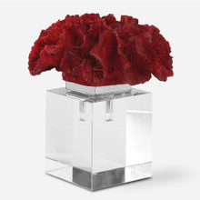 Red Coral Cluster (18601)