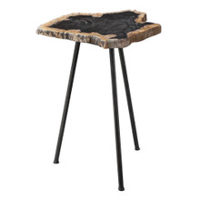 Mircea Petrified Wood Accent Table (25461)