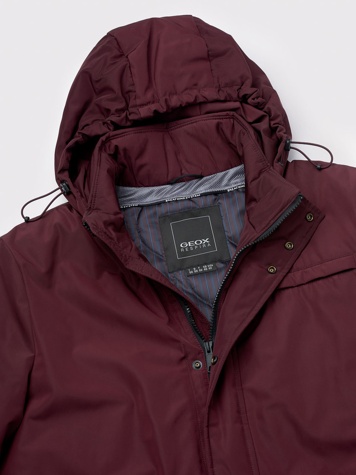 Burgundy Geox Respira Short Padded Jacket Collar
