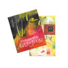 Beyond Paste Paper by Rosie Kelly with BONUS ArtPlay Book