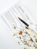 Signature Wedge Brush Set designed by Jen Sweeney and inkmethis