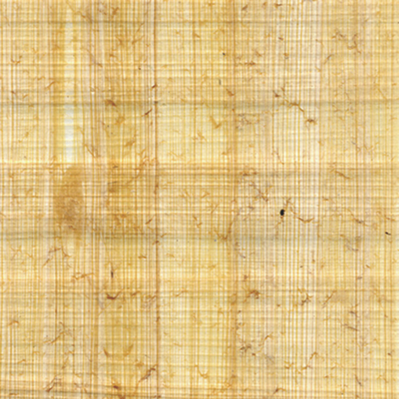 Premium Photo  Close up background texture of ancient egyptian papyrus or  byblos paper reed document