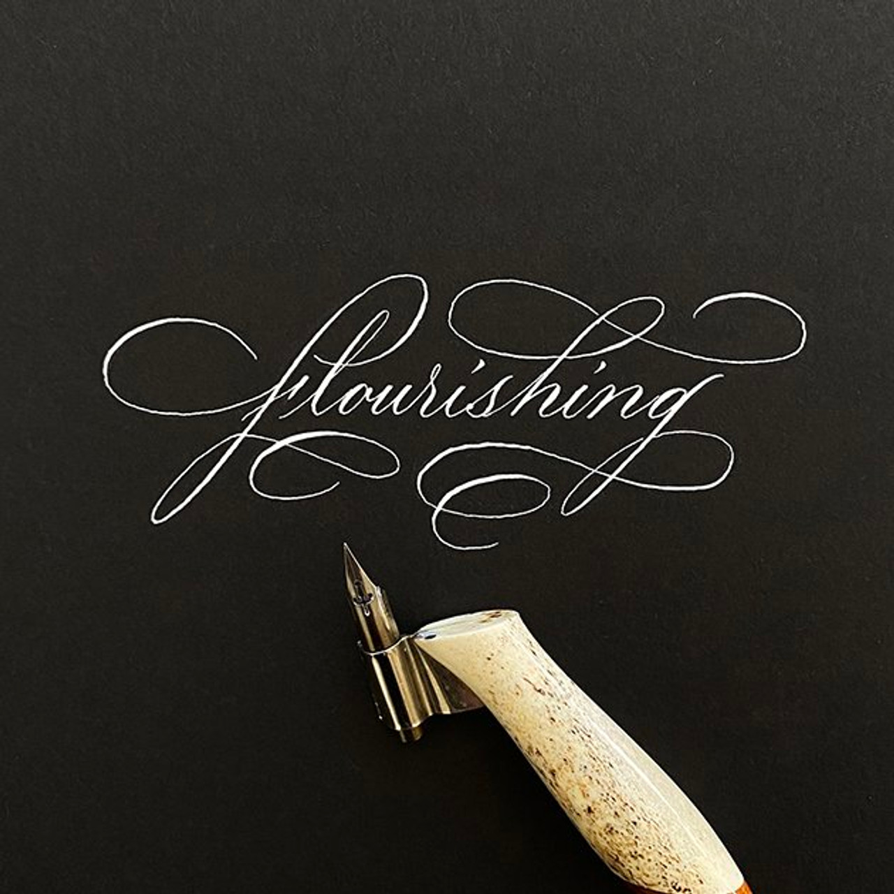 Modern Calligraphy: Pointed Pen Basics, Audrey Moon
