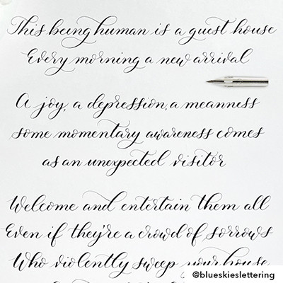 Zebra G Nib John Neal Books