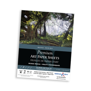 Stillman & Birn Paper 8 x 10 Pack, 12-16 shts