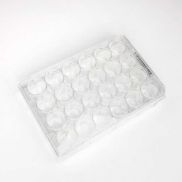 24-Well Clear Plastic Palette