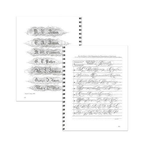 Spencerian Script & Ornamental Penmanship, V1 by Michael