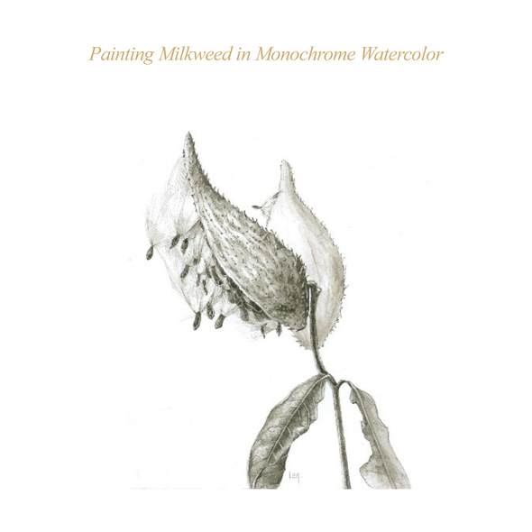 ASBA 2025 - Lara Call Gastinger - Painting Milkweed in Monochrome Watercolor