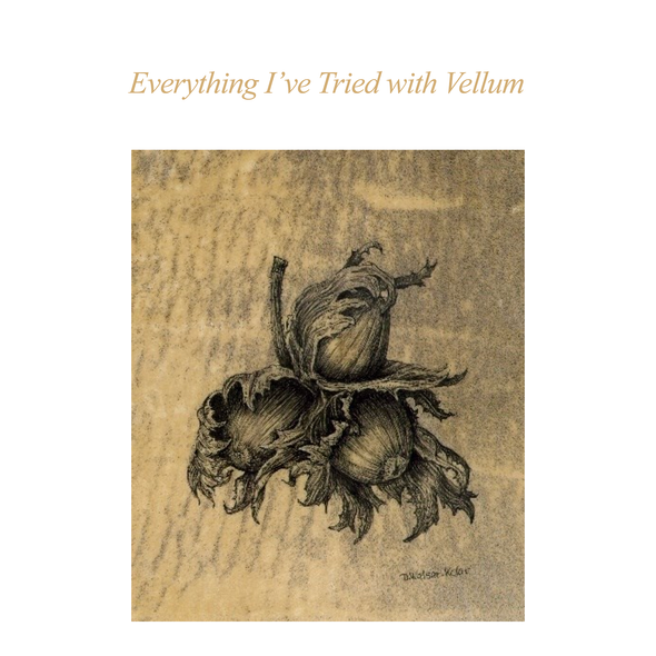 ASBA 2025 - Denise Walser-Kolar - Everything I’ve Tried with Vellum