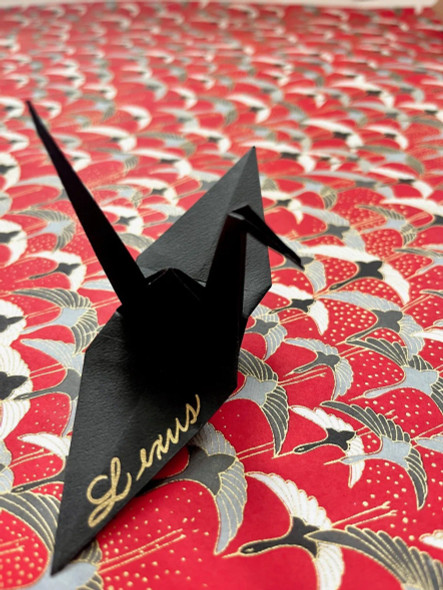 Janet Murato - Origami - Oct 28 & 29, 2025