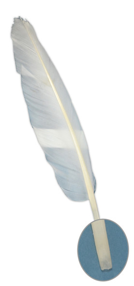 Paper & Ink Arts White Goose Quills, Uncured