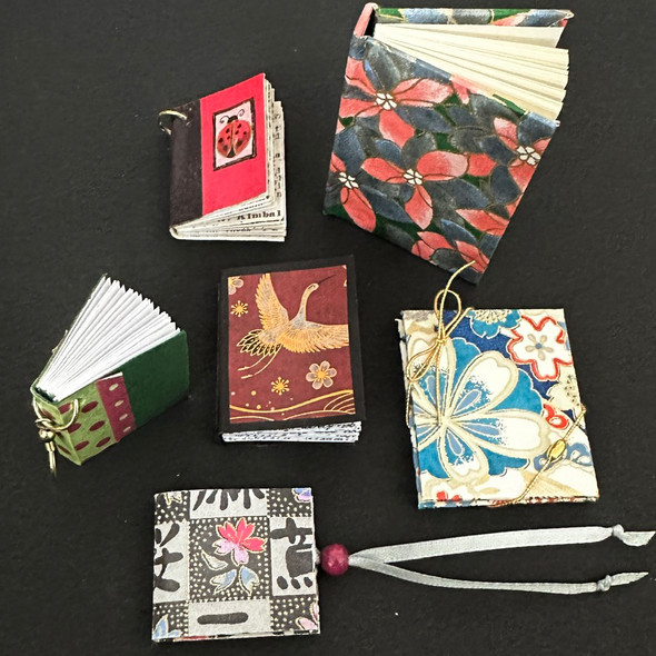 Sally Penley - Mini Book Mania - January 24, 2026