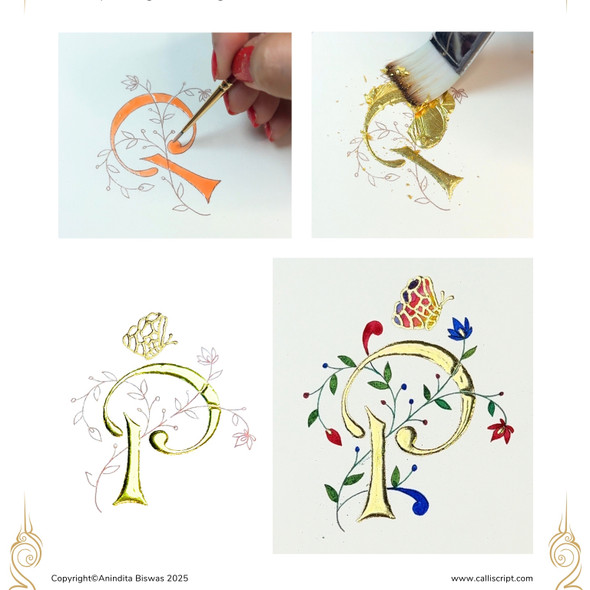 Anindita Biswas - The Gilded Initial - Feb 28, 2026