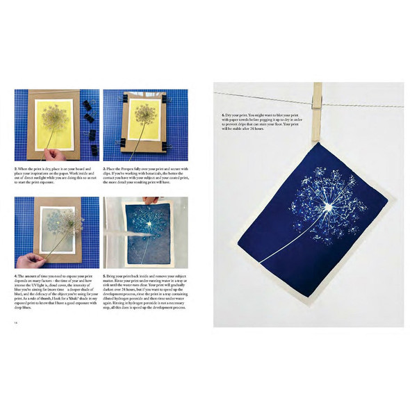 Cyanotype: Learn in a Weekend