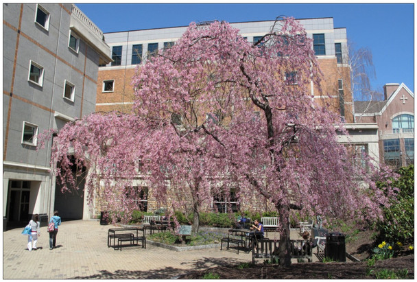 IAMPETH 2023 - Weinberg Library Visit - University of Scranton