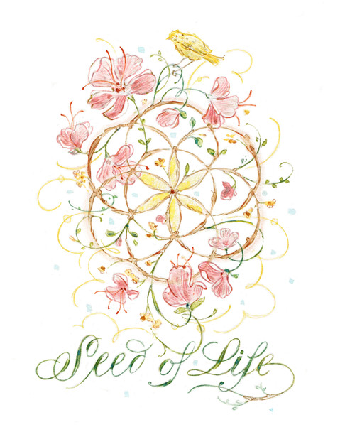 Anne Davnes - Earthy Sacred Geometry: Seed of Life Flowering Branches - Jan 31, 2025