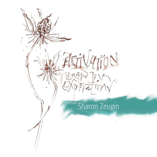 Sharon Zeugin - Activation! Pen & Ink Exploration - Aug 19, 2025