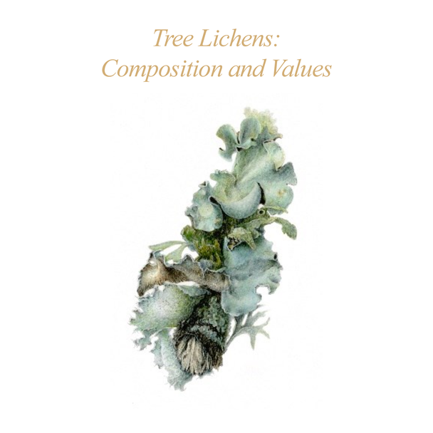 ASBA 2025 - Christiane Fashek - Tree Lichens: Composition and Values