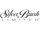 Silver Brush