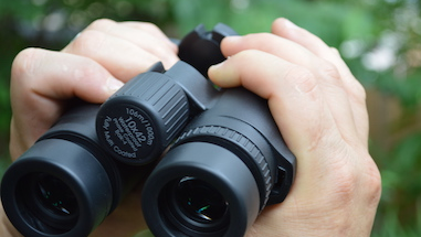 Review Of The Osprey Global 10x42 Binoculars.