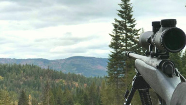 Best Riflescope Right Now