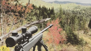 Colored Reticles:  Are they Necessary?