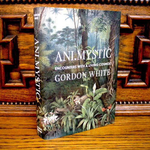 Ani.Mystic by Gordon White