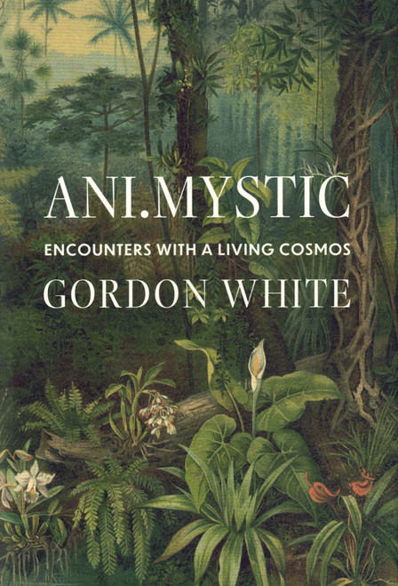 Ani.Mystic by Gordon White