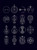 The Thirty-Two Keys (incl. cards) by David Chaim Smith